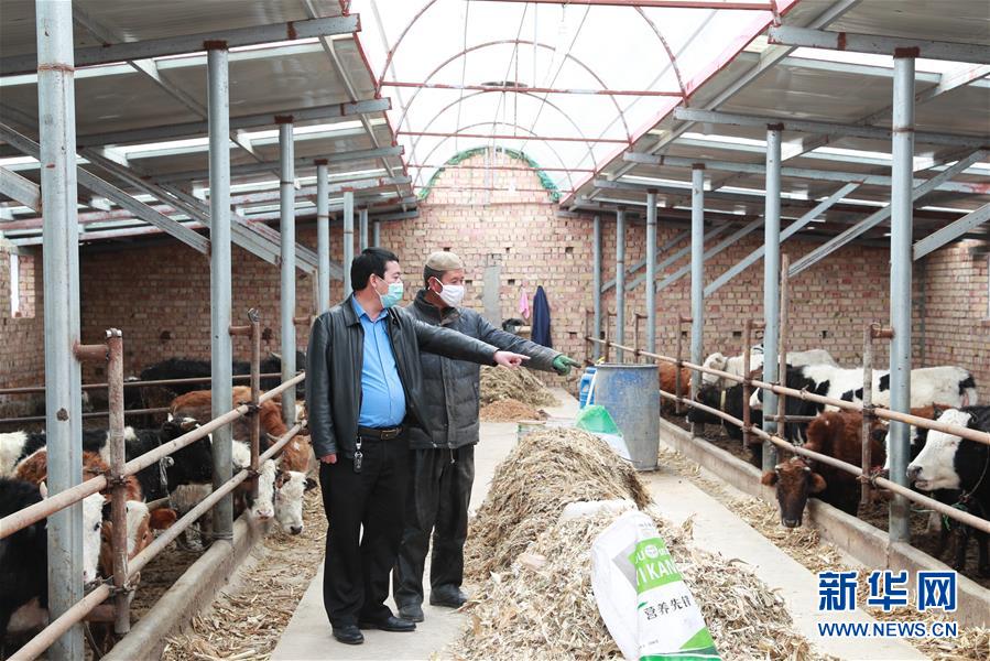 不同寻常的两会，万众一心的力量